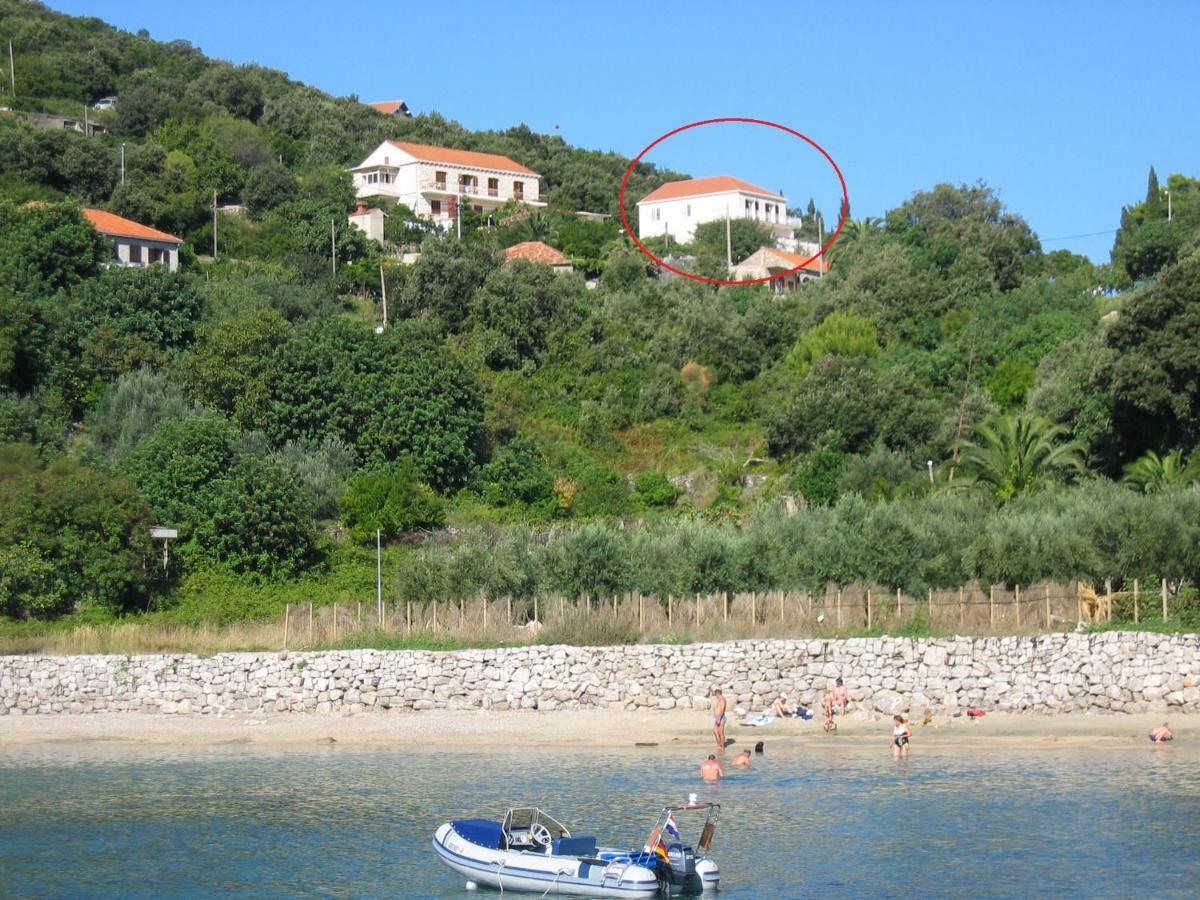 Diving Apartments Molunat Kültér fotó